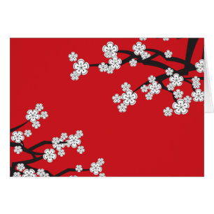 La primavera blanca de Sakura de las flores de