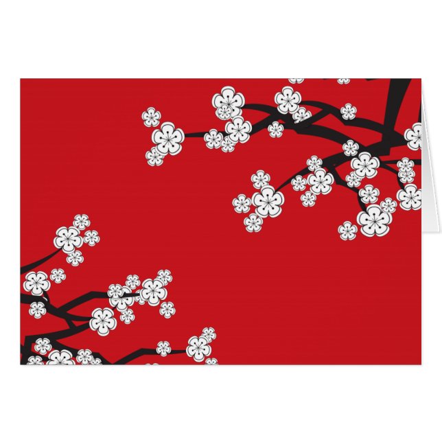 La primavera blanca de Sakura de las flores de (Anverso (Horizontal))