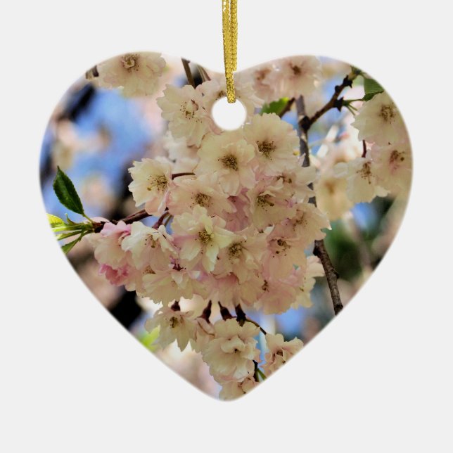 La primavera delicada florece ornamento de la flor (Frente)