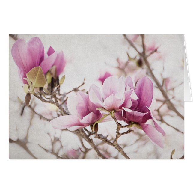 La primavera está en el aire (Anverso (Horizontal))