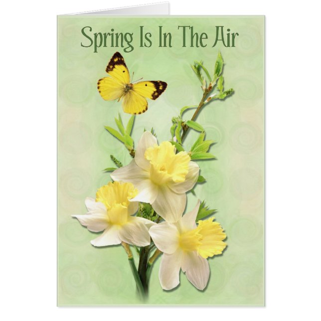 La Primavera Está En El Aire (Frente)