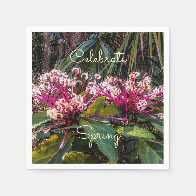 La primavera está llegando. Servilleta de papel (Anverso)