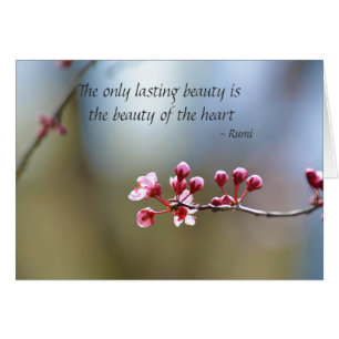 La primavera florece belleza