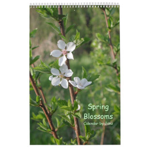 La primavera florece calendario de pared por Janz