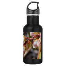 La primavera florece la botella de agua del