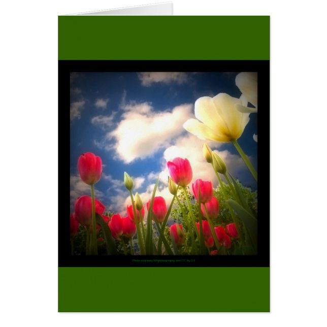 La primavera florece la colección I (Frente)