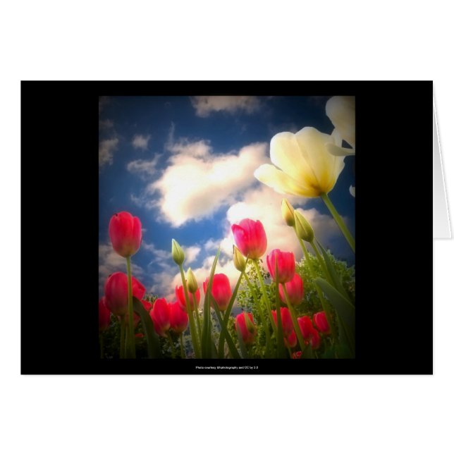 La primavera florece la colección I (Anverso (Horizontal))