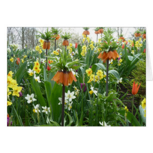 La primavera florece la diversión - amarillo y