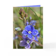 La primavera florece la tarjeta de felicitación