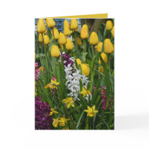 La primavera florece la tarjeta de felicitación