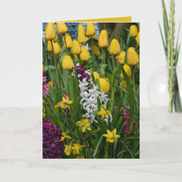 La primavera florece la tarjeta de felicitación