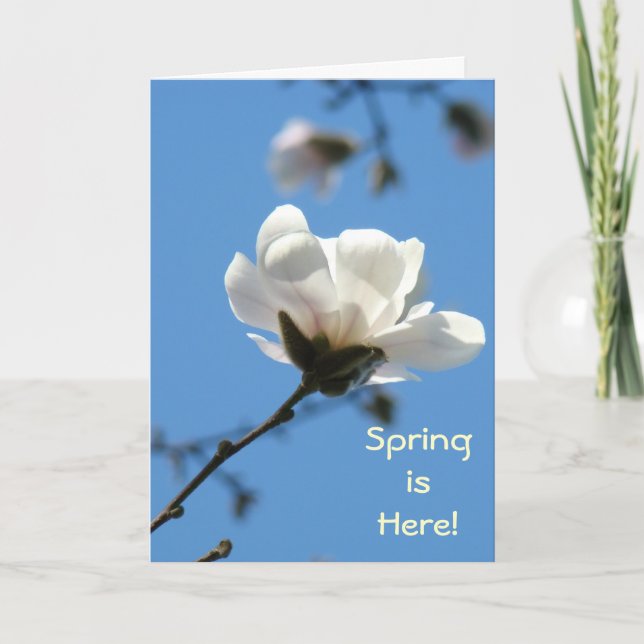 ¡La primavera ha llegado! Tarjetas de felicitación (Anverso)
