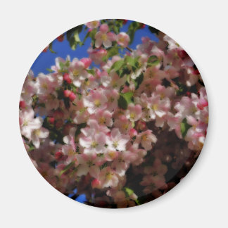 La primavera rosada florece imán de la flor