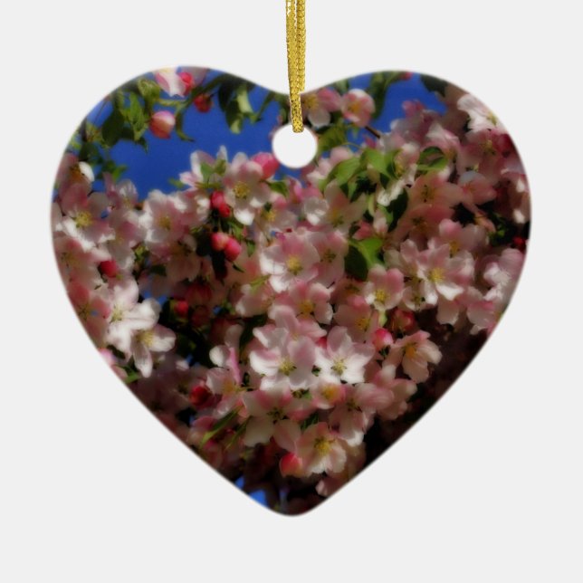 La primavera rosada florece ornamento de la flor (Frente)