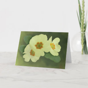 La primavera suave florece la tarjeta de