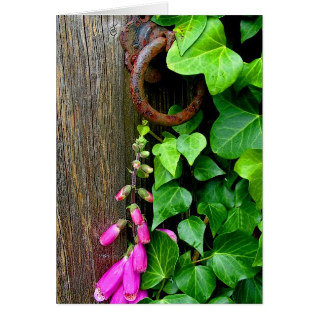 LA PUERTA SECRETA (Frente)