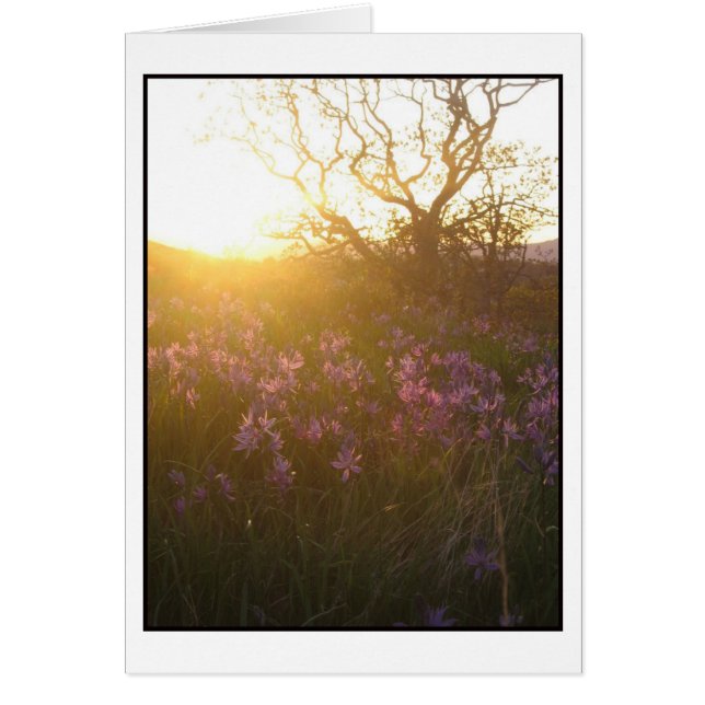 La puesta de sol en el monte Tolmie y en Camas (Frente)