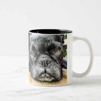 La reina FiFi consiguió la taza de café