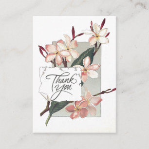 La remisión le agradece Plumeria rosado del