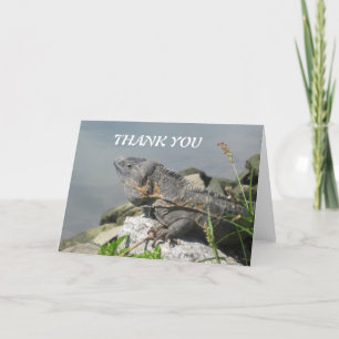 La roca del lagarto le agradece tarjeta de