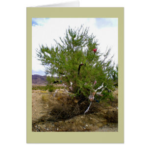 La ropa interior de Bush del sujetador