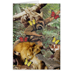 La selva Jive la tarjeta