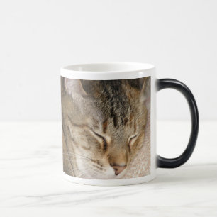 La siesta del gato Morph la taza
