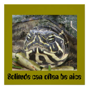 La soledad puede a menudo ser Niza - poster de la