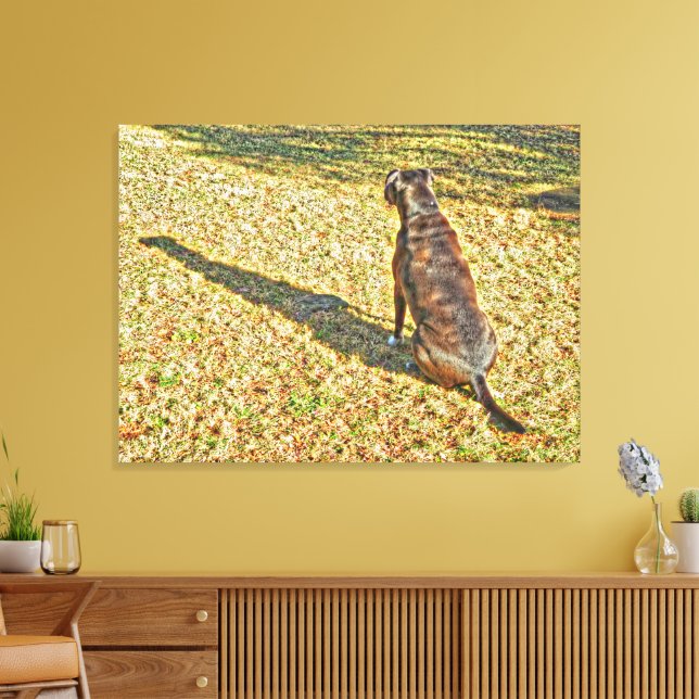 La sombra y el arte del lienzo de perro (Insitu (Sala de estar))