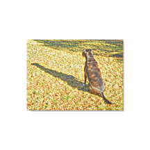 La sombra y el arte del lienzo de perro