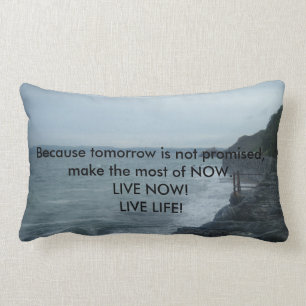 ¡La suavidad y la almohada "vida viva" de la felp