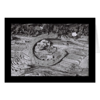 La suerte de Worn Out