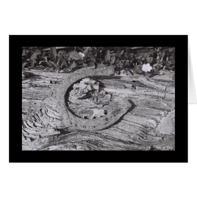 La suerte de Worn Out (Anverso (Horizontal))