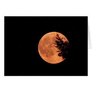 ¡La Super Luna!