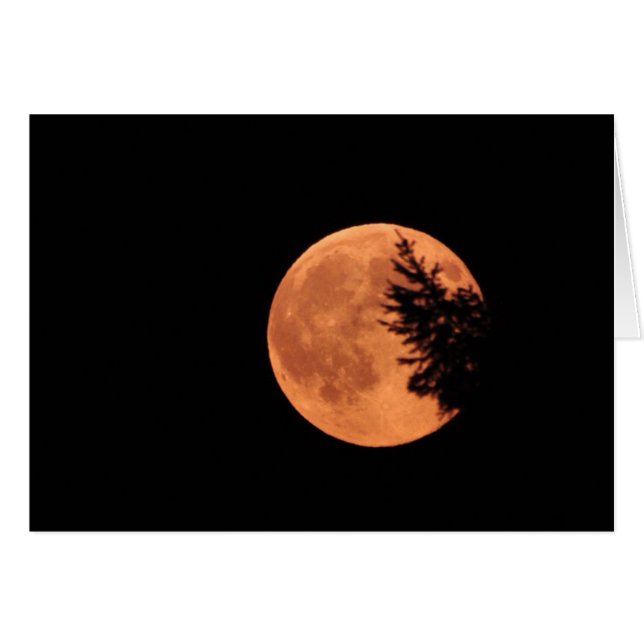 ¡La Super Luna! (Anverso (Horizontal))