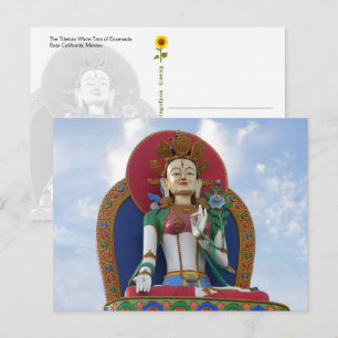 La Tara Blanca Tibetana de Ensenada - postal