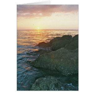 La tarjeta adaptable ofrece la puesta del sol de