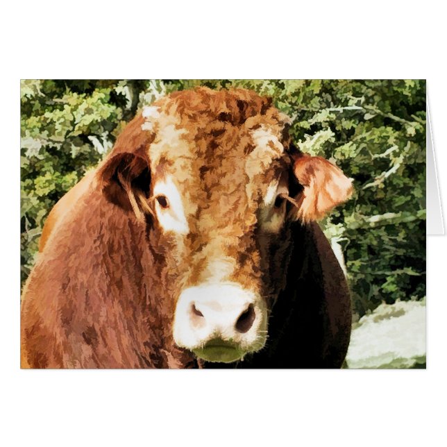 LA TARJETA BULL (Anverso (Horizontal))