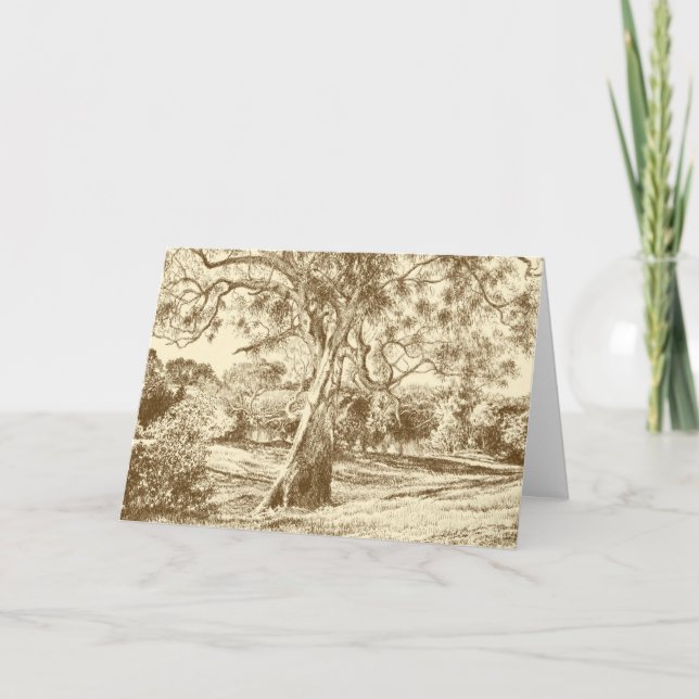 La tarjeta de agradecimiento de Winnie the Pooh (Anverso)