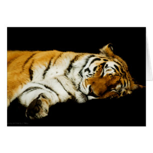 La tarjeta de Amur durmiente