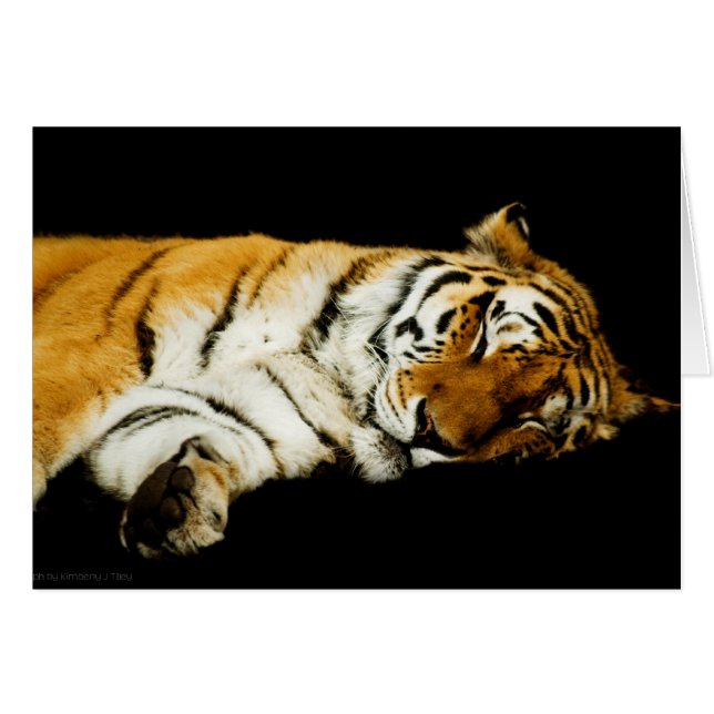 La tarjeta de Amur durmiente (Anverso (Horizontal))