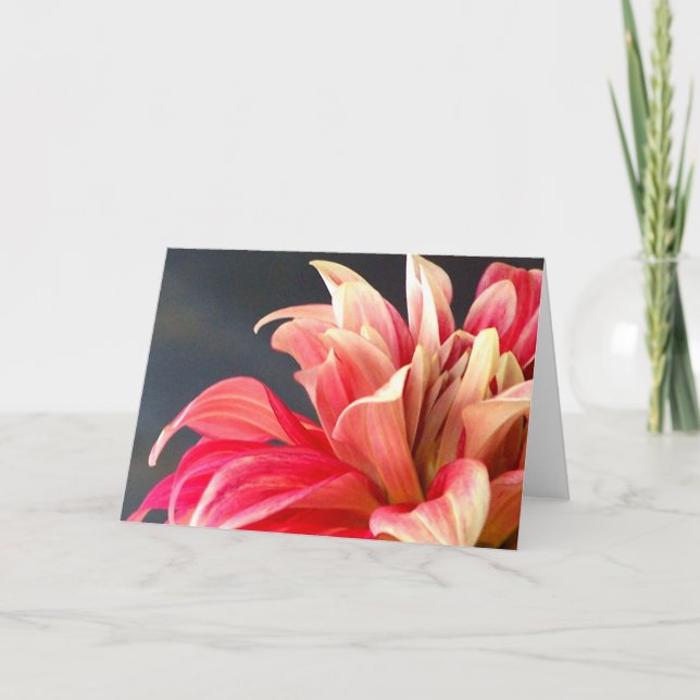 La tarjeta de cualquier ocasión. (Anverso)