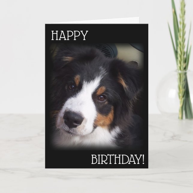 La tarjeta de cumpleaños A1 del perro australiano (Anverso)