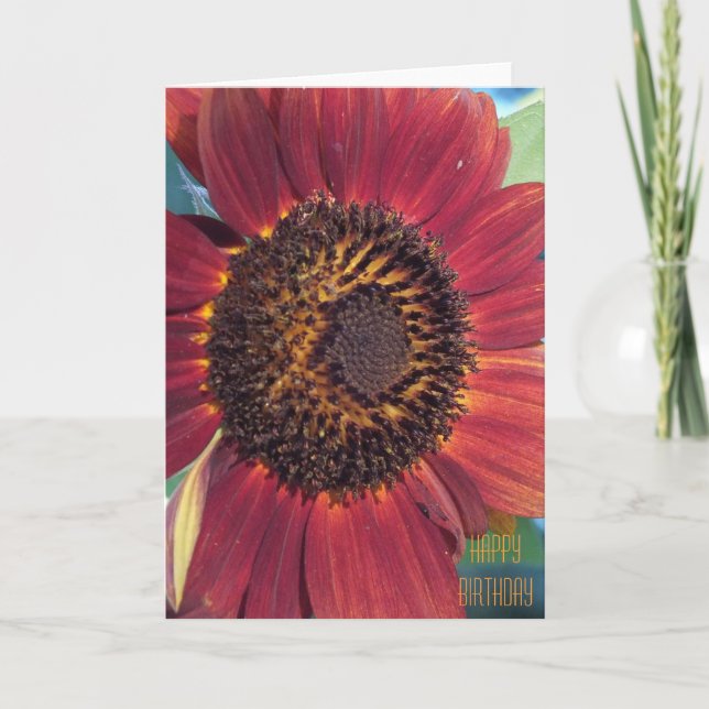 La tarjeta de cumpleaños del girasol rojo (Anverso)