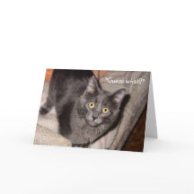 La tarjeta de felicitación de los El día de San Va