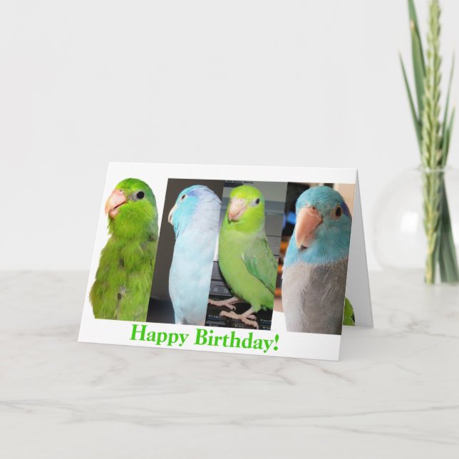 La tarjeta de felicitación del pájaro del feliz (Anverso)