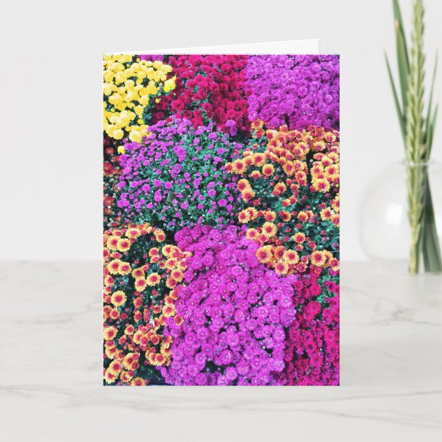 La tarjeta de felicitación más estimada de la (Anverso)