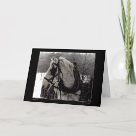 La tarjeta de felicitación para caballos de Borrad