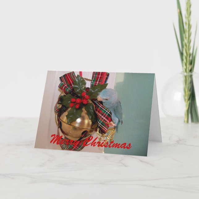 La tarjeta de felicitación Parrotlets Merry Christ (Anverso)
