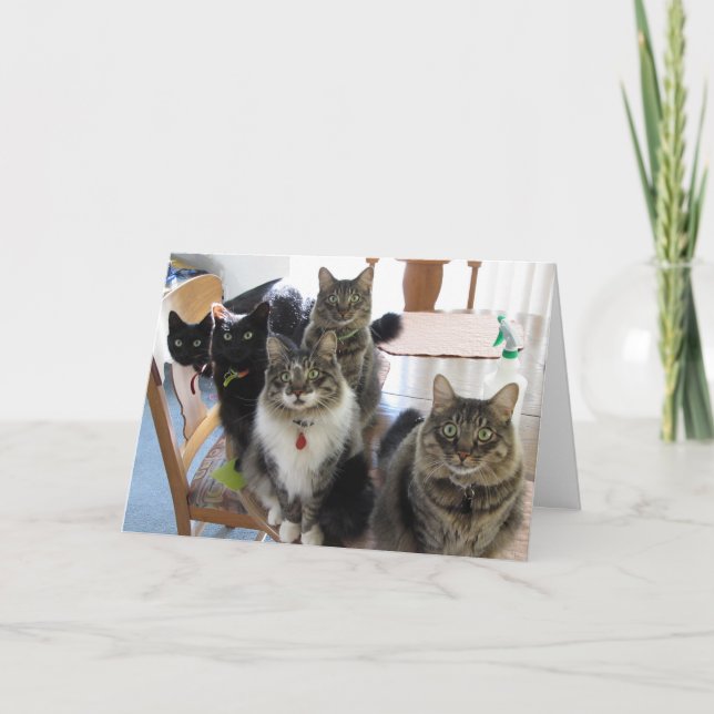 La tarjeta de felicitación por el cumpleaños de la (Anverso)